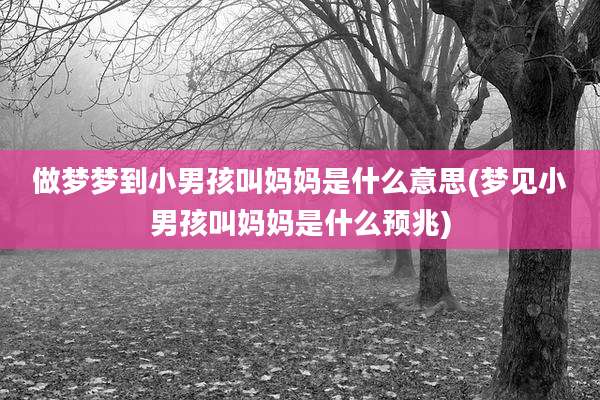 做梦梦到小男孩叫妈妈是什么意思(梦见小男孩叫妈妈是什么预兆)