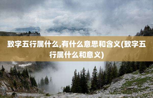 致字五行属什么,有什么意思和含义(致字五行属什么和意义)
