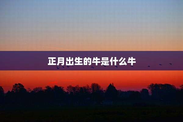 正月出生的牛是什么牛