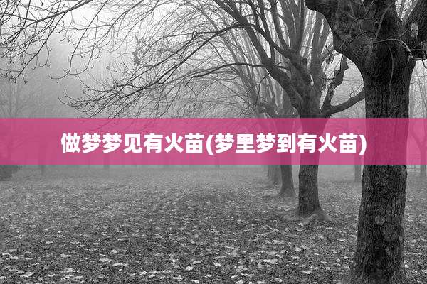 做梦梦见有火苗(梦里梦到有火苗)