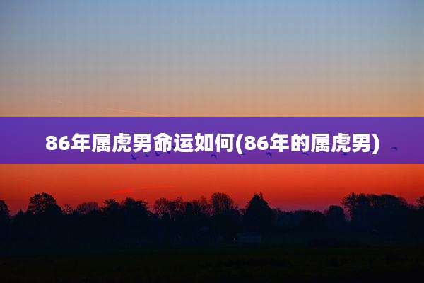 86年属虎男命运如何(86年的属虎男)