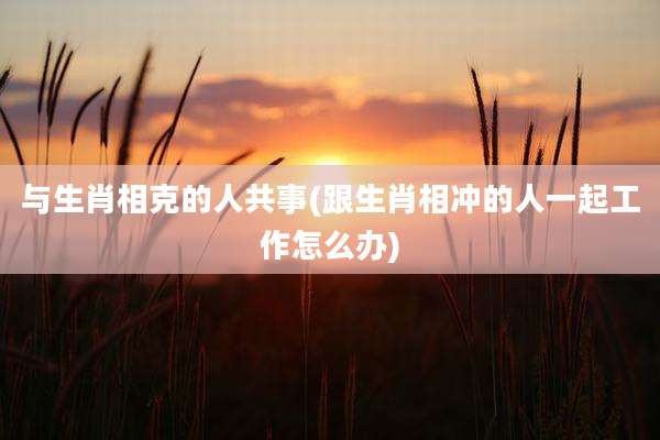 与生肖相克的人共事(跟生肖相冲的人一起工作怎么办)