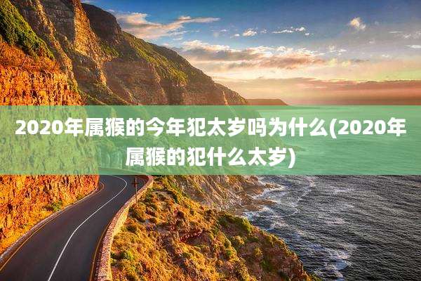 2020年属猴的今年犯太岁吗为什么(2020年属猴的犯什么太岁)