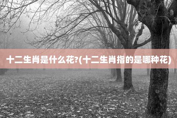 十二生肖是什么花?(十二生肖指的是哪种花)