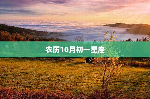 农历10月初一星座