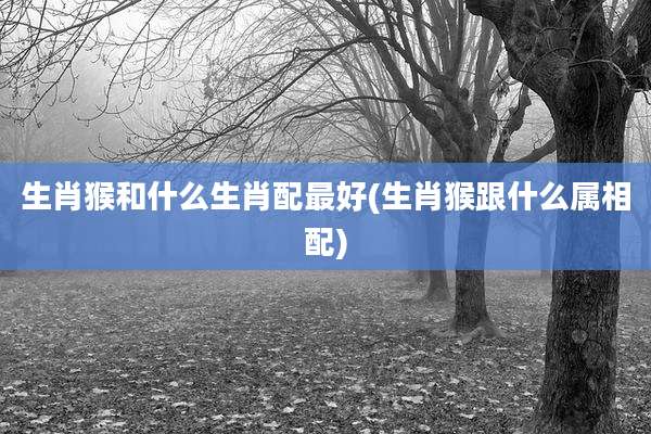 生肖猴和什么生肖配最好(生肖猴跟什么属相配)