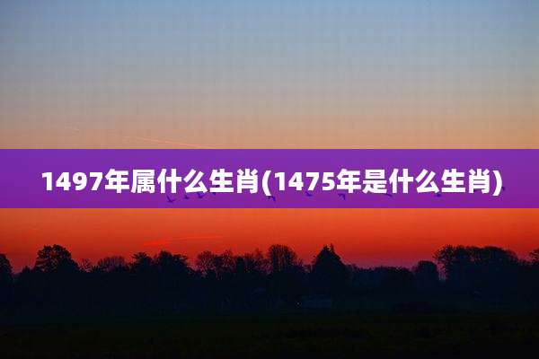 1497年属什么生肖(1475年是什么生肖)