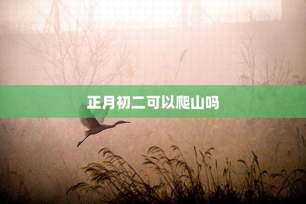 正月初二可以爬山吗