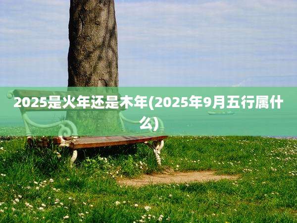 2025是火年还是木年(2025年9月五行属什么)