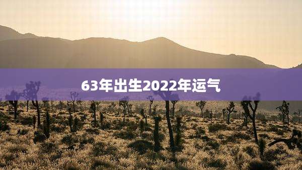 63年出生2022年运气