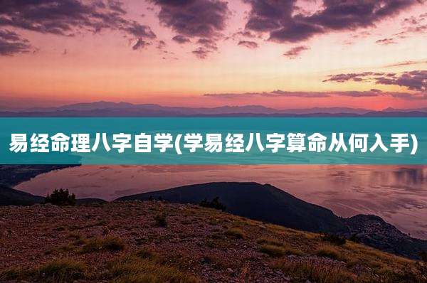 易经命理八字自学(学易经八字算命从何入手)