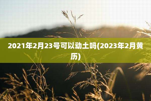 2021年2月23号可以动土吗(2023年2月黄历)