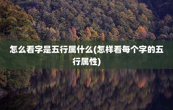 怎么看字是五行属什么(怎样看每个字的五行属性)