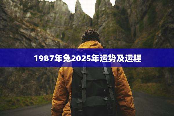 1987年兔2025年运势及运程