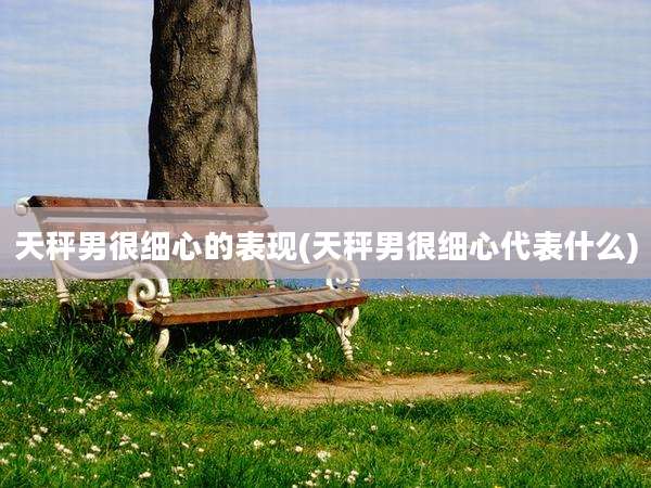 天秤男很细心的表现(天秤男很细心代表什么)