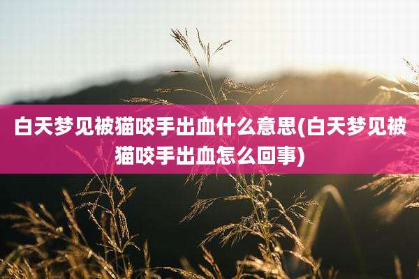 白天梦见被猫咬手出血什么意思(白天梦见被猫咬手出血怎么回事)