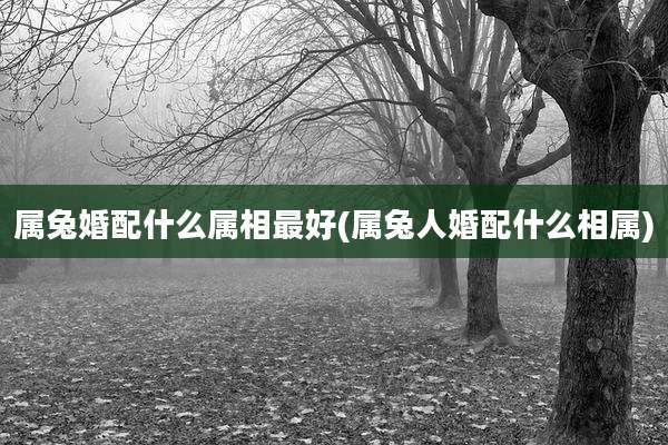属兔婚配什么属相最好(属兔人婚配什么相属)