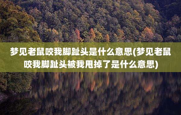 梦见老鼠咬我脚趾头是什么意思(梦见老鼠咬我脚趾头被我甩掉了是什么意思)