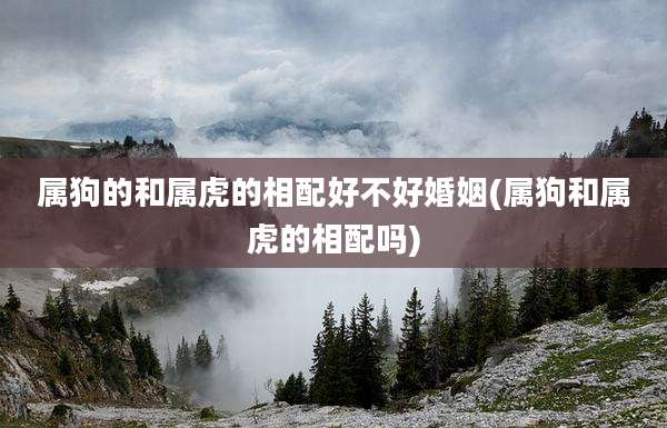 属狗的和属虎的相配好不好婚姻(属狗和属虎的相配吗)