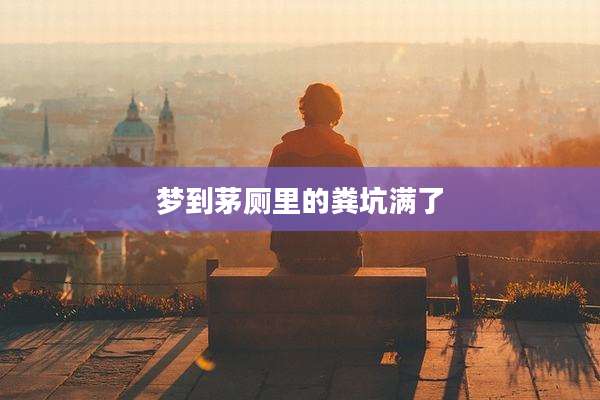 梦到茅厕里的粪坑满了