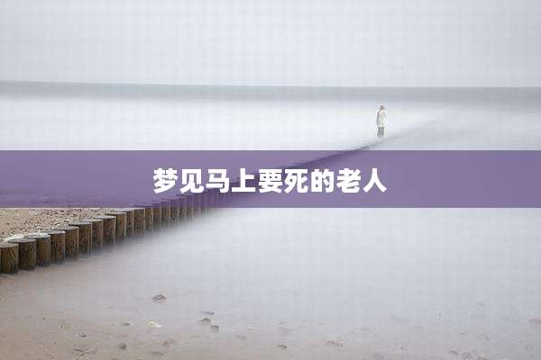 梦见马上要死的老人