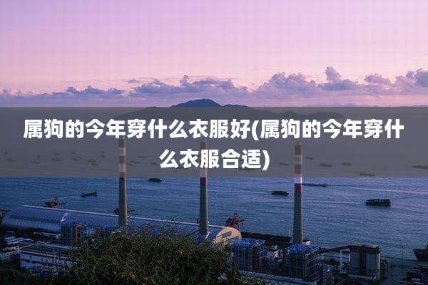 属狗的今年穿什么衣服好(属狗的今年穿什么衣服合适)