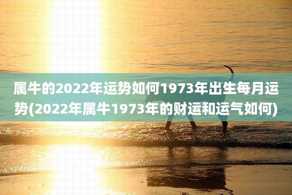 属牛的2022年运势如何1973年出生每月运势(2022年属牛1973年的财运和运气如何)
