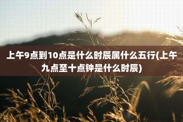 上午9点到10点是什么时辰属什么五行(上午九点至十点钟是什么时辰)