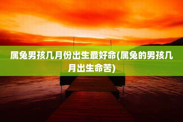 属兔男孩几月份出生最好命(属兔的男孩几月出生命苦)