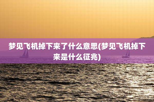 梦见飞机掉下来了什么意思(梦见飞机掉下来是什么征兆)