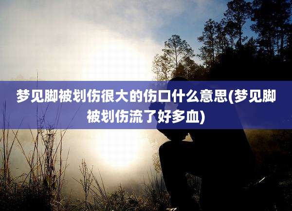 梦见脚被划伤很大的伤口什么意思(梦见脚被划伤流了好多血)