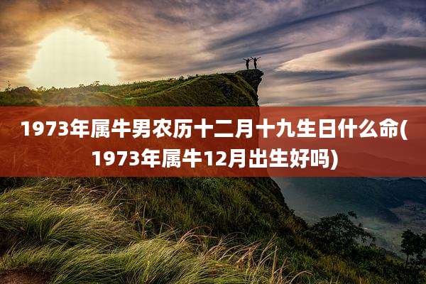 1973年属牛男农历十二月十九生日什么命(1973年属牛12月出生好吗)