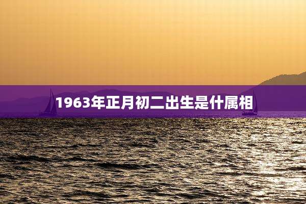 1963年正月初二出生是什属相