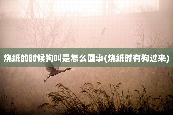 烧纸的时候狗叫是怎么回事(烧纸时有狗过来)