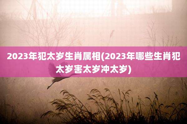 2023年犯太岁生肖属相(2023年哪些生肖犯太岁害太岁冲太岁)