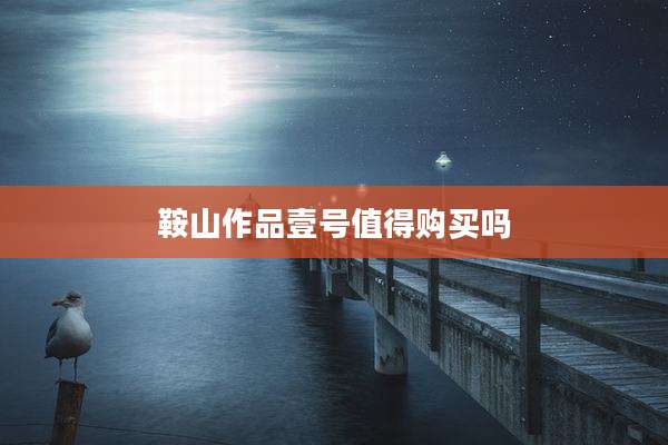 鞍山作品壹号值得购买吗