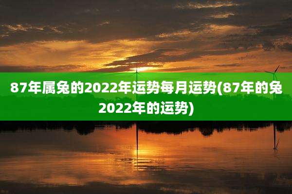 87年属兔的2022年运势每月运势(87年的兔2022年的运势)