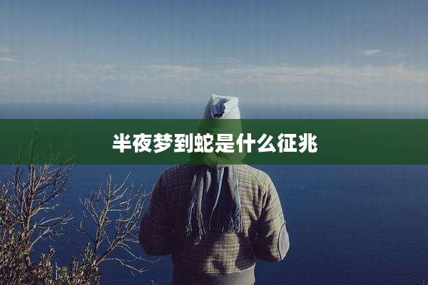 半夜梦到蛇是什么征兆