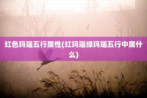 红色玛瑙五行属性(红玛瑙绿玛瑙五行中属什么)