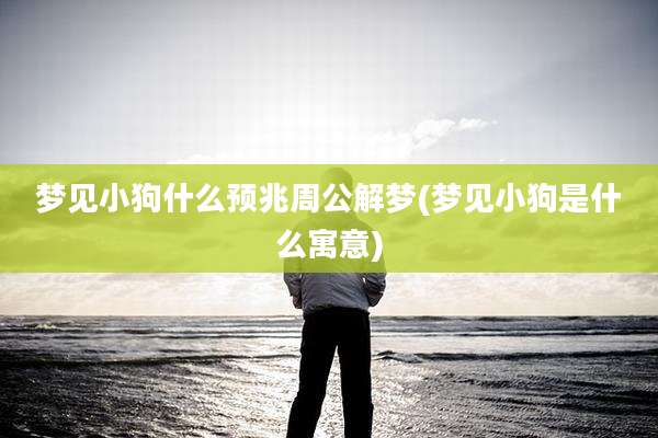梦见小狗什么预兆周公解梦(梦见小狗是什么寓意)
