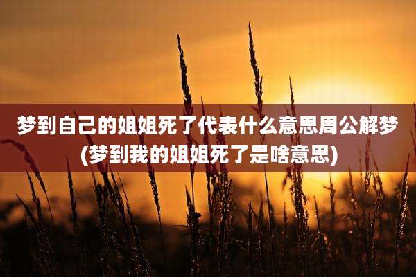 梦到自己的姐姐死了代表什么意思周公解梦(梦到我的姐姐死了是啥意思)