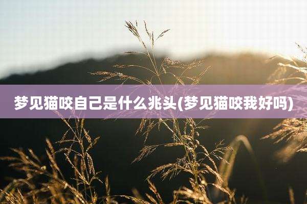 梦见猫咬自己是什么兆头(梦见猫咬我好吗)