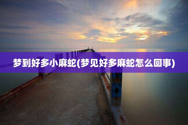 梦到好多小麻蛇(梦见好多麻蛇怎么回事)