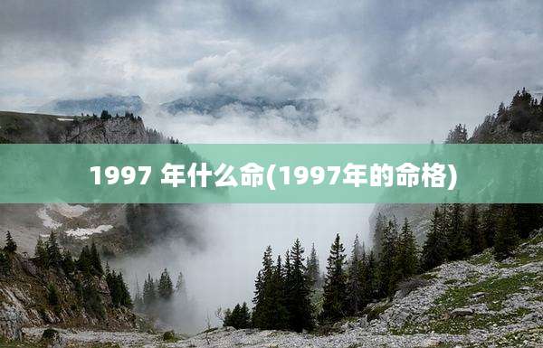 1997 年什么命(1997年的命格)
