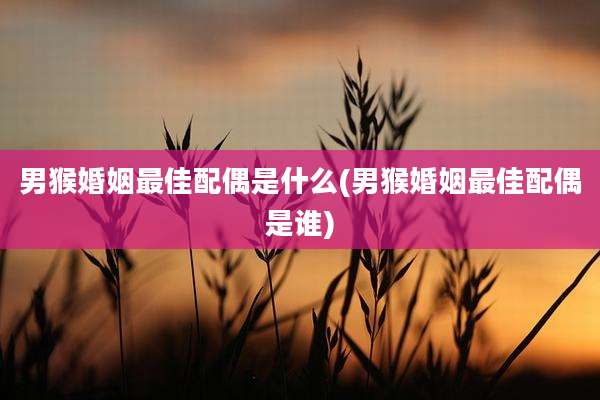 男猴婚姻最佳配偶是什么(男猴婚姻最佳配偶是谁)