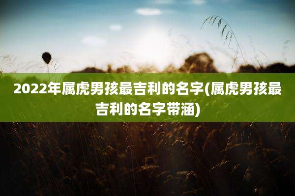 2022年属虎男孩最吉利的名字(属虎男孩最吉利的名字带涵)