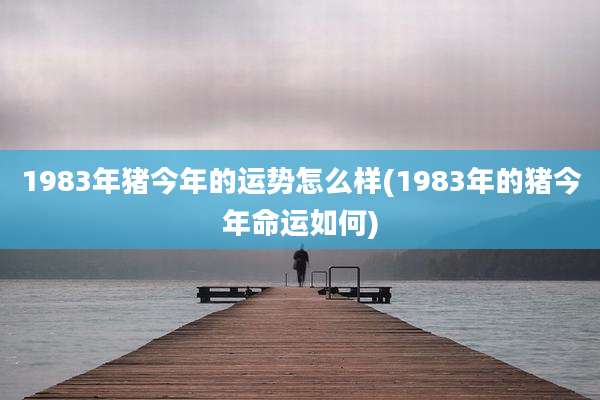 1983年猪今年的运势怎么样(1983年的猪今年命运如何)