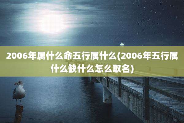 2006年属什么命五行属什么(2006年五行属什么缺什么怎么取名)