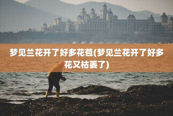梦见兰花开了好多花苞(梦见兰花开了好多花又枯萎了)