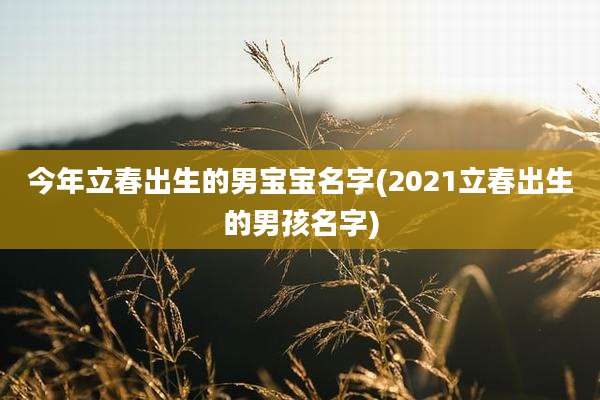 今年立春出生的男宝宝名字(2021立春出生的男孩名字)